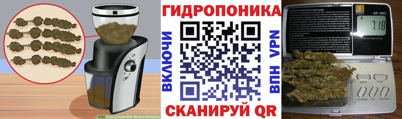 ссылка на мегу ССЫЛКА  Зеленоградск  Cannafood конопля 