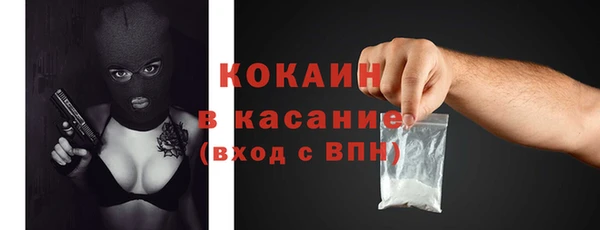 гашик Россошь