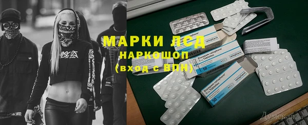 гашик Балахна