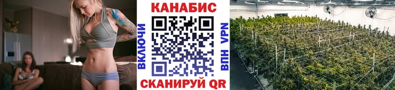 Шишки марихуана марихуана  наркошоп  Зеленоградск 